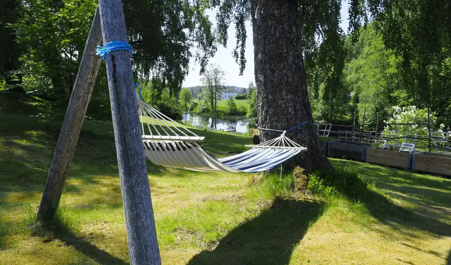 hammock with a river in the background