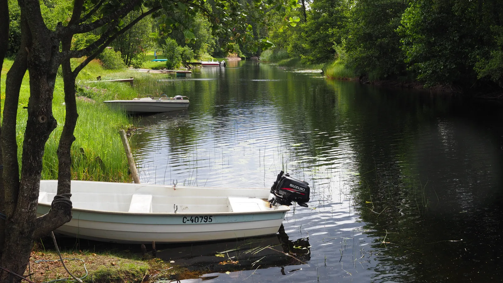 Small boat resting on calm water by trees at Riverside Bliss