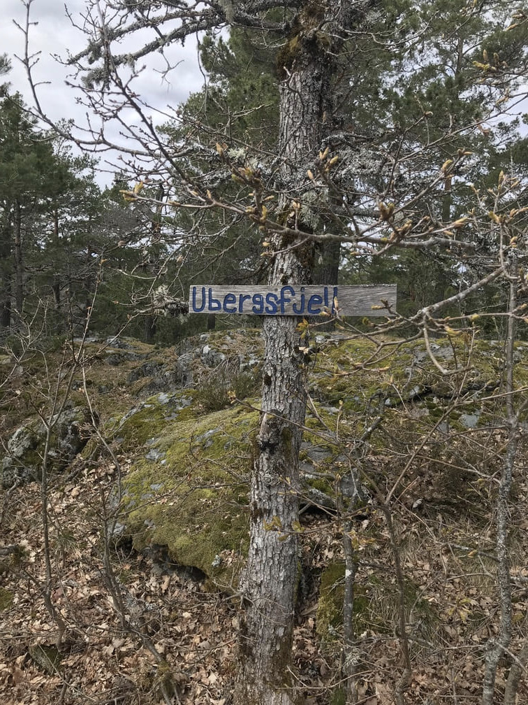 Ubergsfjell