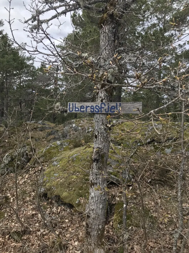 Ubergsfjell