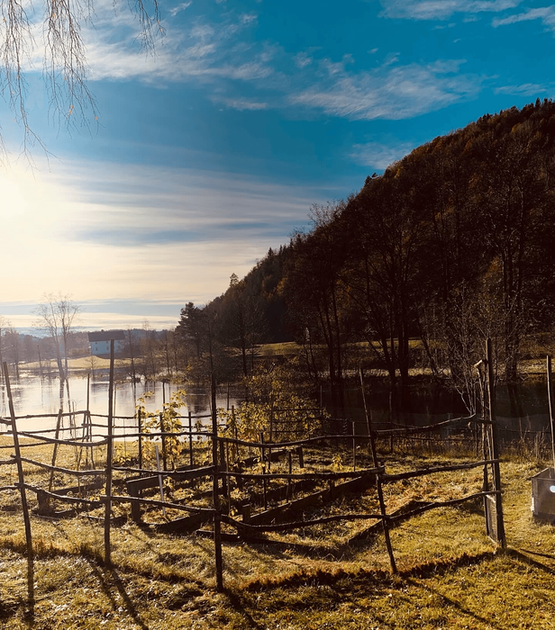 Garden view with mountain in the background